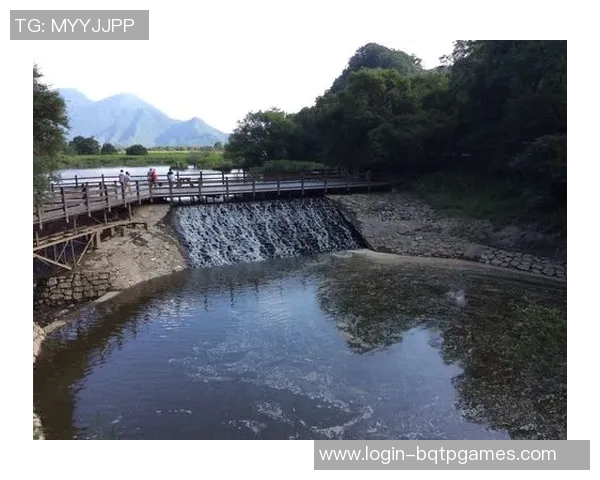 esports最新数据深度探讨刘强在王者荣耀中的游戏人生与成长历程